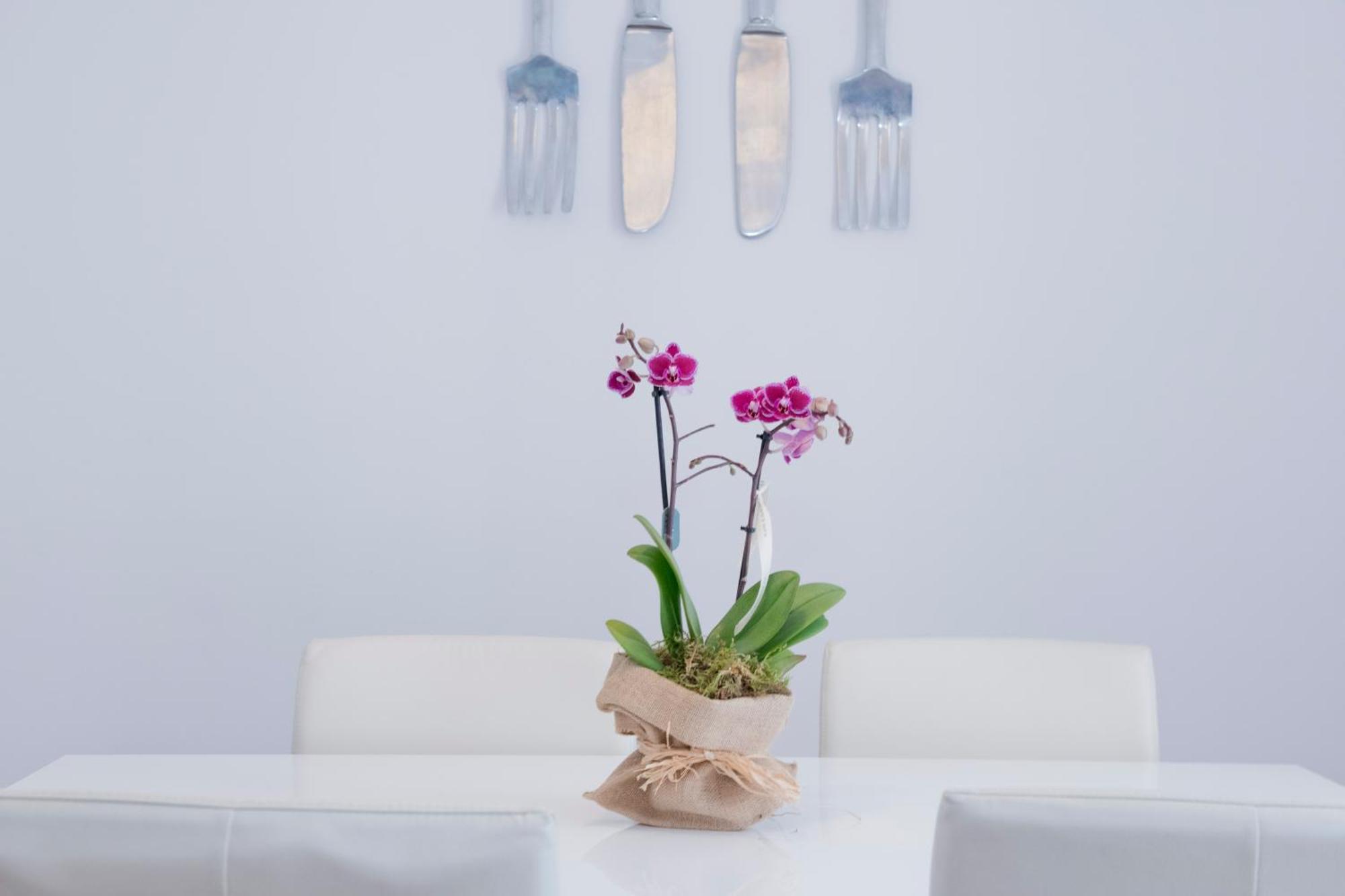 Apartamento Gaudi-Sant Pau Barcelona Zewnętrze zdjęcie
