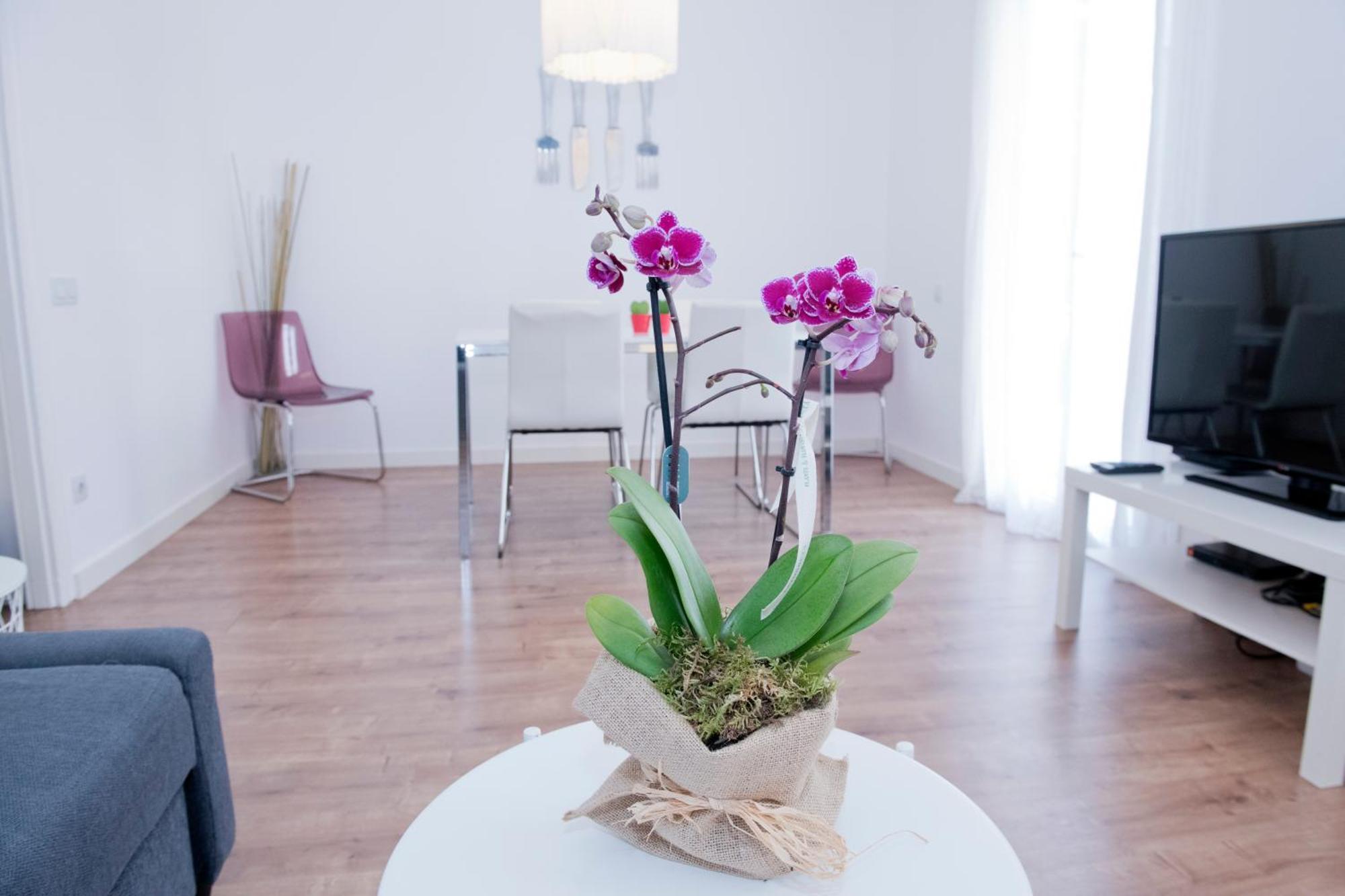 Apartamento Gaudi-Sant Pau Barcelona Zewnętrze zdjęcie